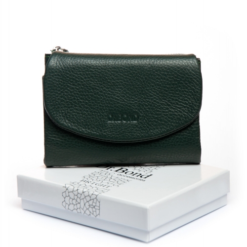 Кошелек Bright Женский кожа DR. BOND WS-239 green