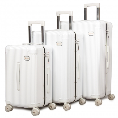 Дорожная Чемодан 31 ABS-пластик DTbag 2050 white